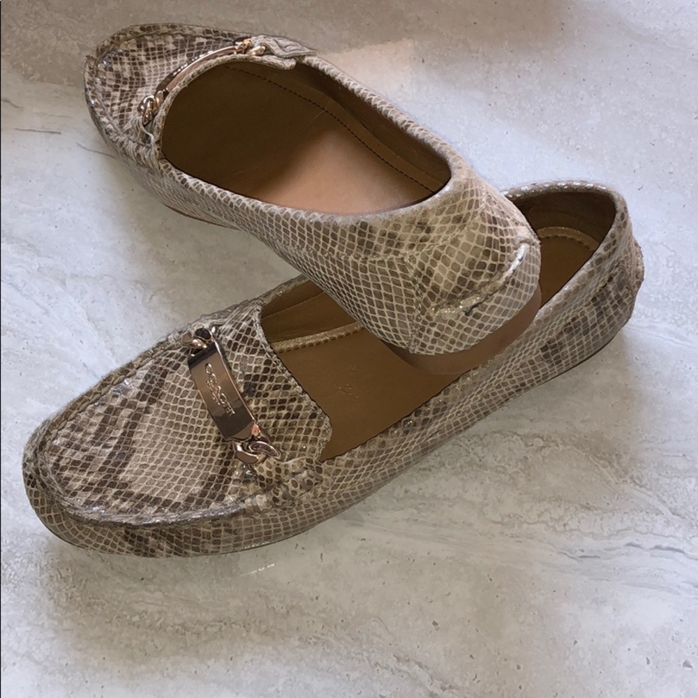 Olive Sand Printed Snake Coach Shoes - Picture 8 of 16